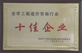 全市工程造價咨詢行業(yè)十佳企業(yè)